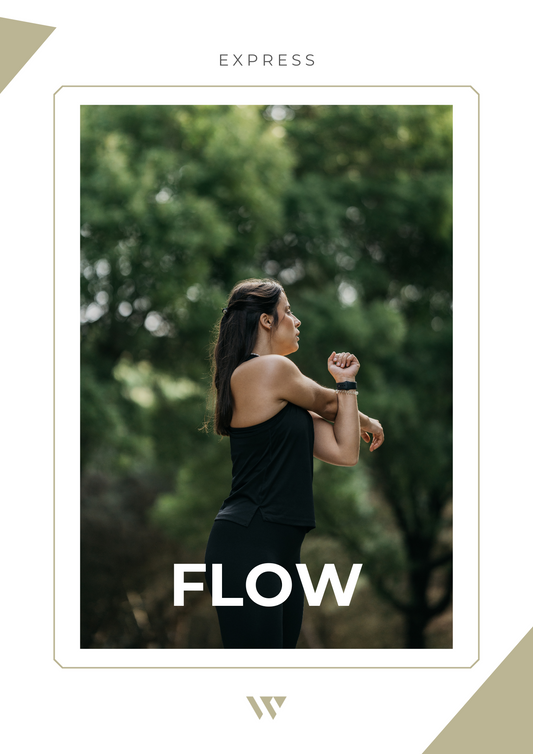 Express | Flow